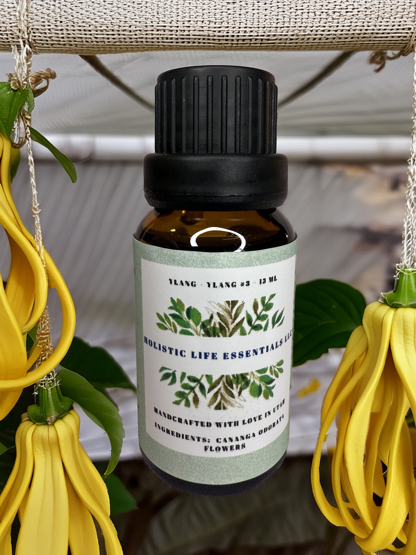 Ylang-Ylang #3-Holistic Life Essentials LLC