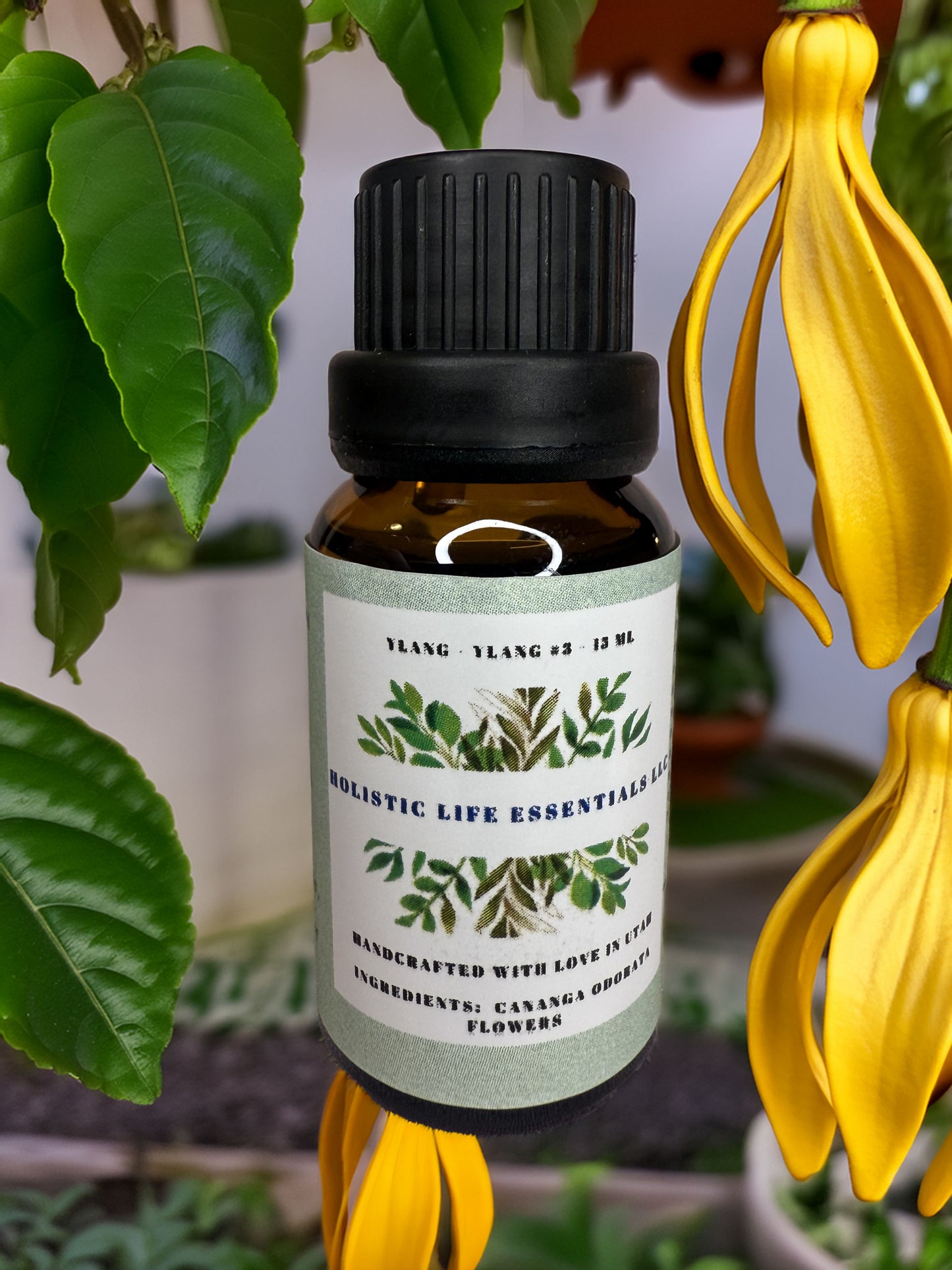 Ylang-Ylang #3-Holistic Life Essentials LLC