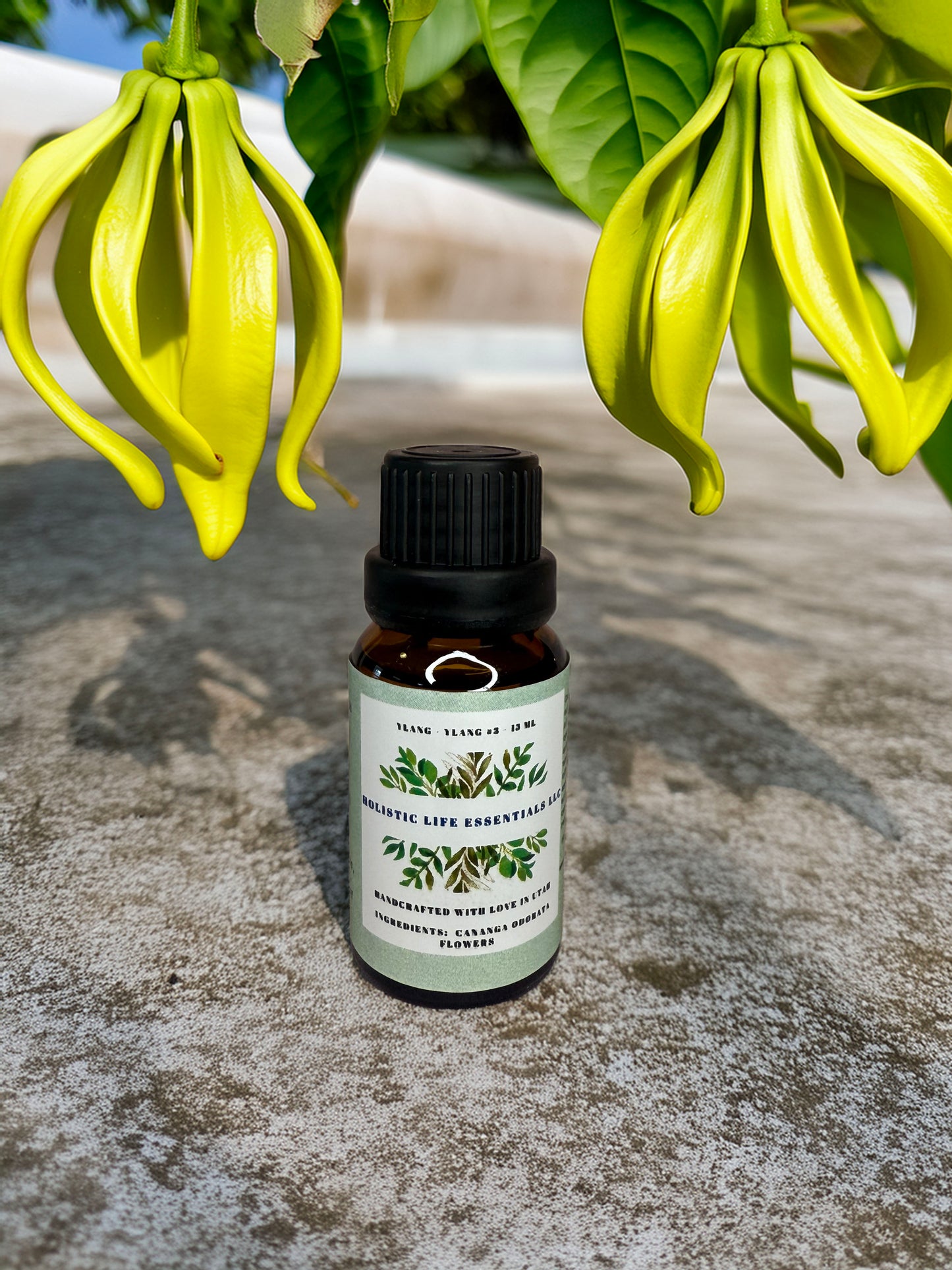 Ylang-Ylang #3-Holistic Life Essentials LLC