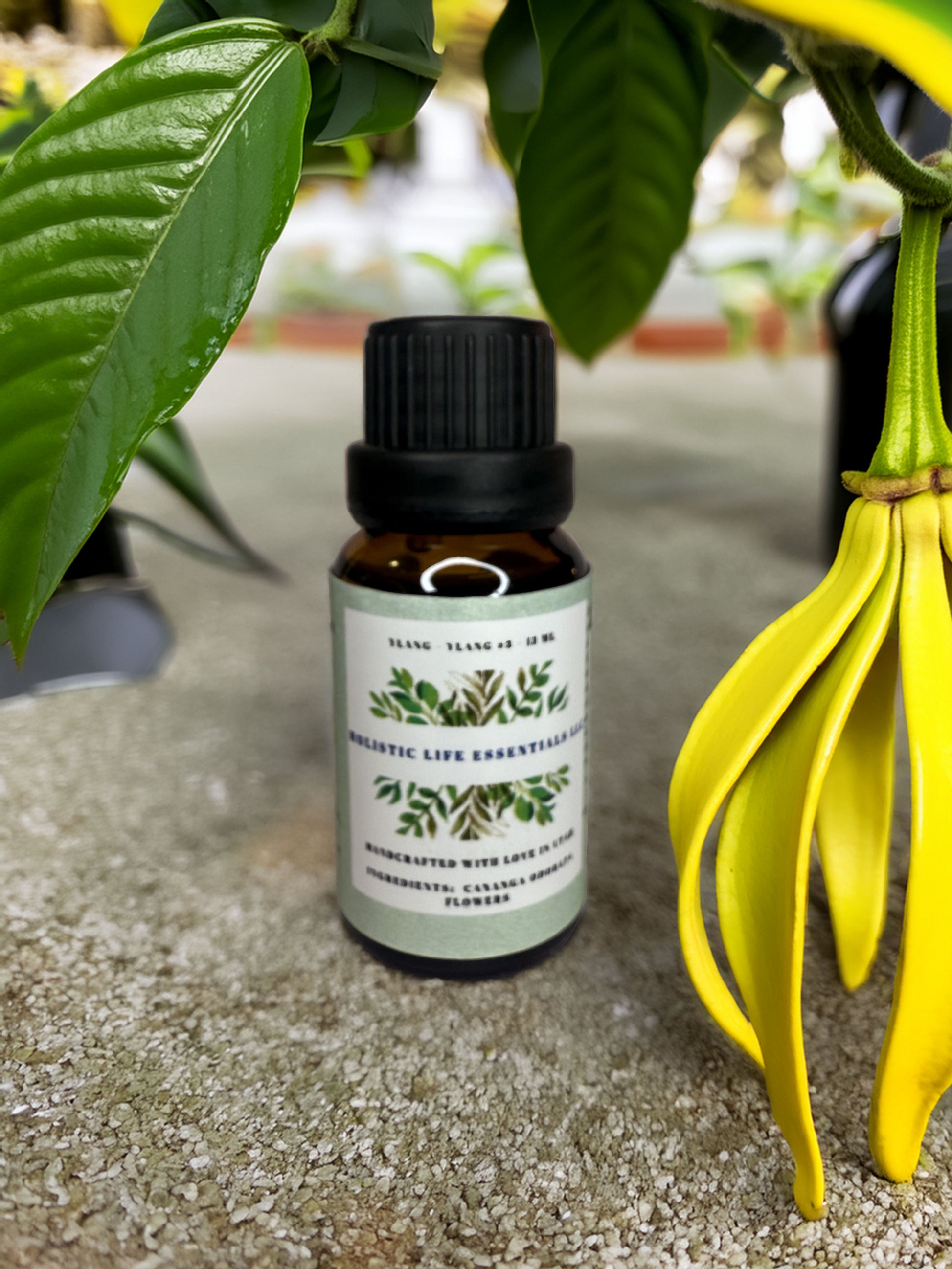 Ylang-Ylang #3-Holistic Life Essentials LLC